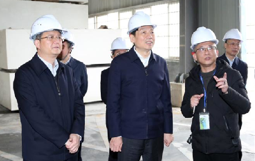 廣西壯族自治區(qū)黨委副書記孫大偉一行蒞臨西利升石調研