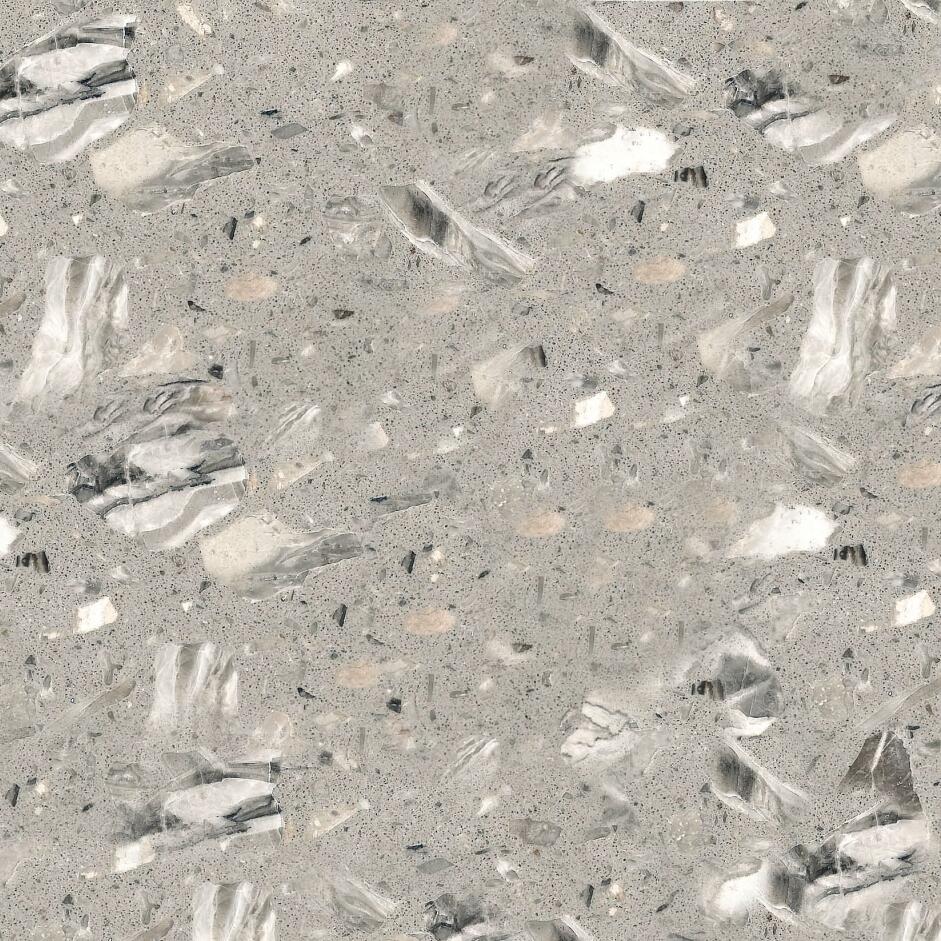 LS-E010
